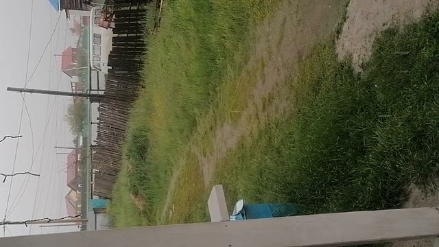 Погода Быйан 2025.06.25