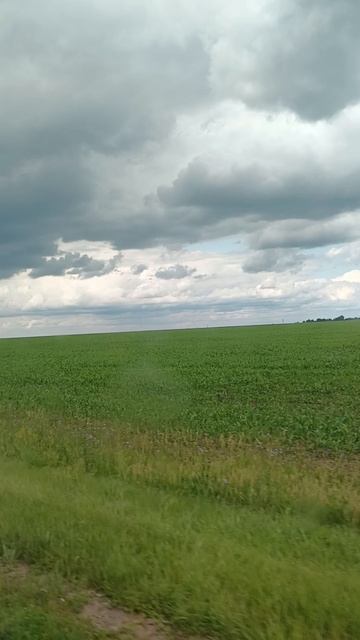 VID_20250624_134835