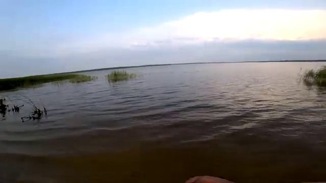 РЫБАЛКА. БЕШЕННЫЙ КЛЁВ НА ЗАКИДУХИ