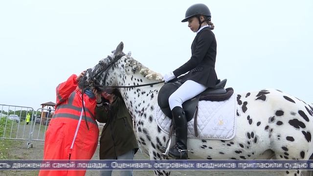 24.06.2025 Региональный турнир по выездке стал этапом всероссийского заочного Кубка