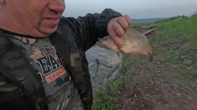 Короткая вечерка и три офигенных карася