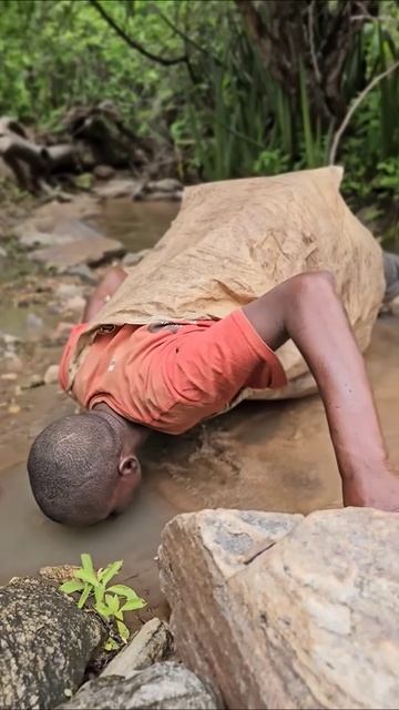 Прошли дожди в Африке появилась речка для питья воды