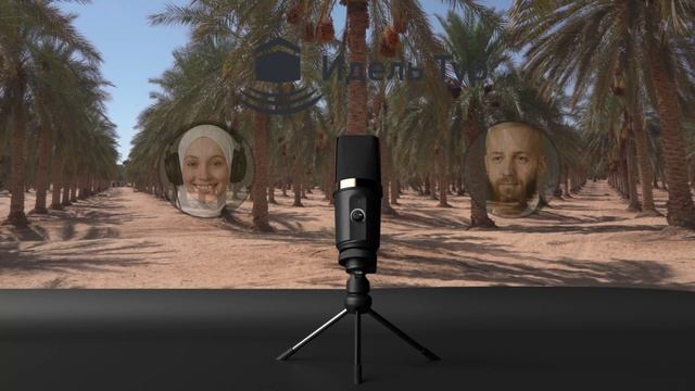 🌙 Ляйлятуль-Кадр — величайшая ночь в году. Ночь Предопределения, Достоинства и Признаки. ТУР УМРА