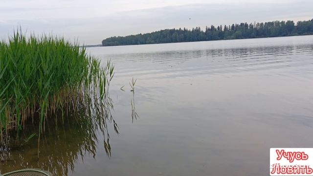 На Озеро за лещом. Ловлю фидером.