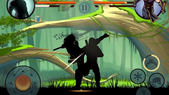 Летний Бой в Shadow Fight 2 № 360