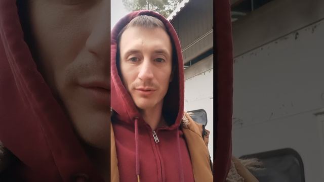 ДТП ШАЛЬНОЙ НА ДОРОГЕ