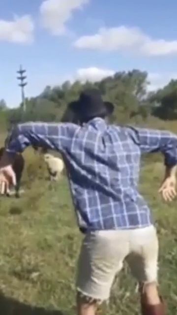 ржака 😅😂🤣