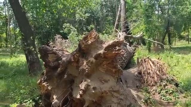 Дом На Колёсах В Болгарии. Самый дешёвый сайт болгарской недвижимости