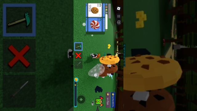 SVID_20250625_123803_1.mp4