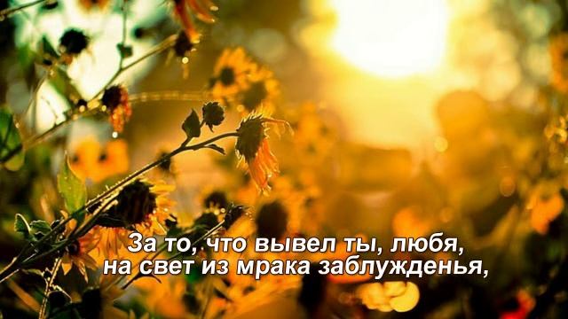 "Мой путь", авторская песня, Шинкарева Светлана,  "Благодарю, Господь, Тебя..."