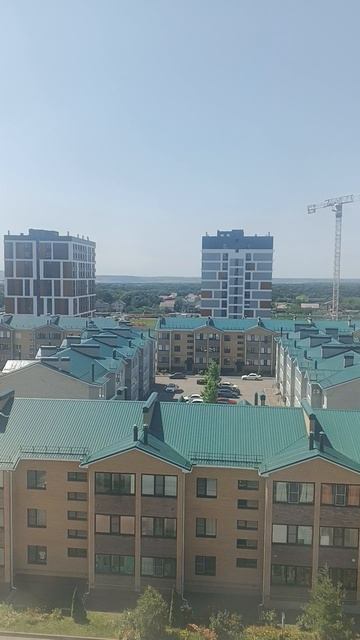 Цветы