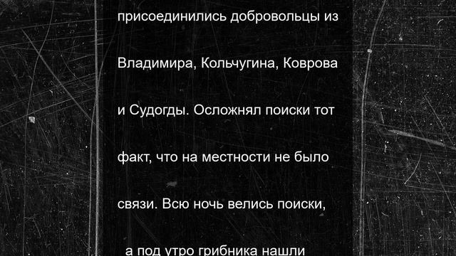 В Селивановском районе волонтеры "Лиза Алерт" нашли потерявшегося грибника