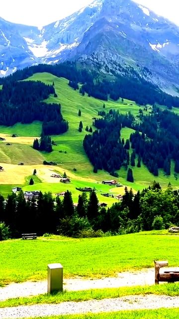 Моменты, запечатленные на камеру