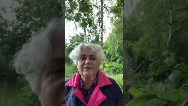 VID-20250623-WA0135