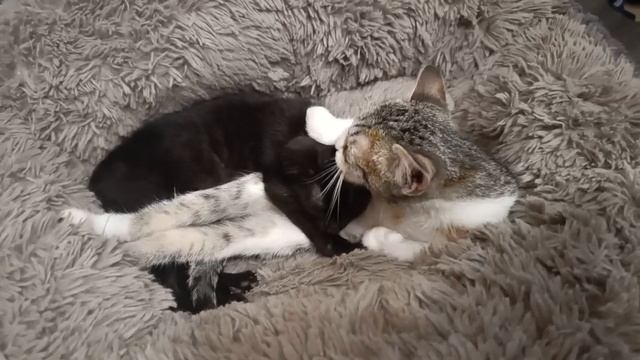 ДОБРОЙ НОЧИ!😴😴😴