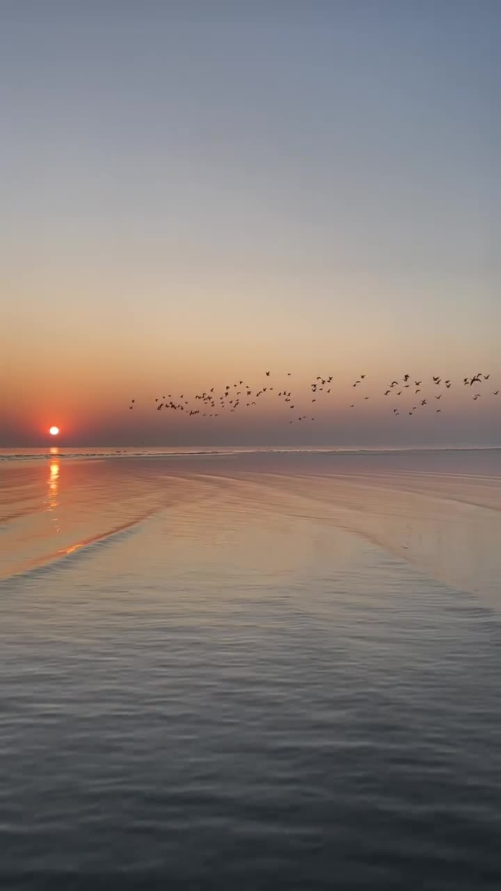 #вода #закат