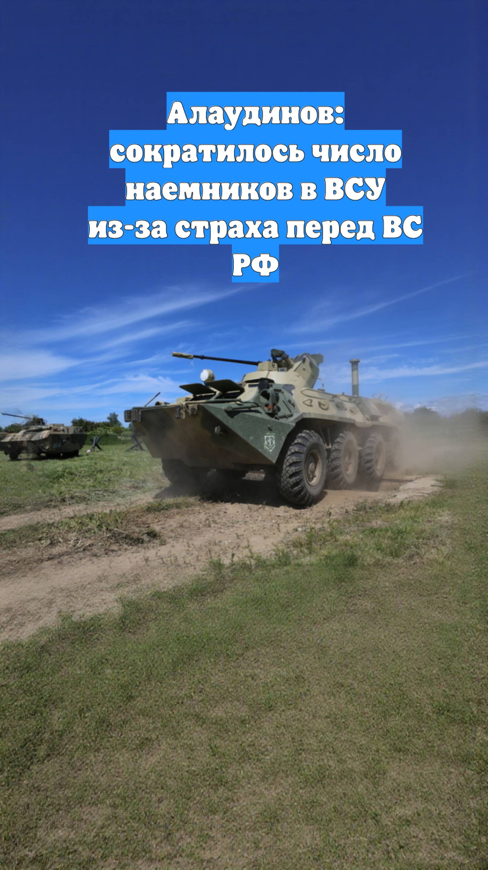Алаудинов: сократилось число наемников в ВСУ из-за страха перед ВС РФ