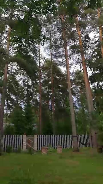 VID-20250624-WA0007