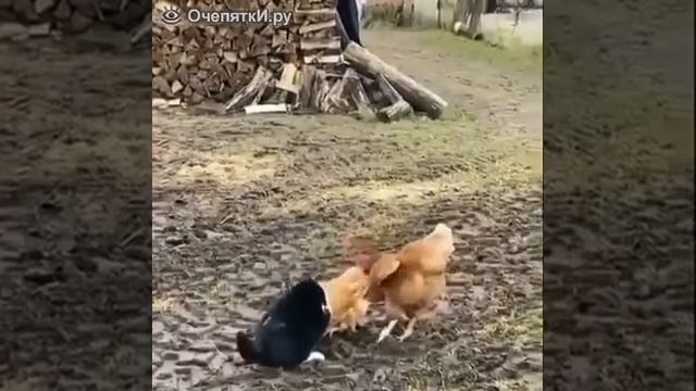 Ты чего на нас нападаешь
