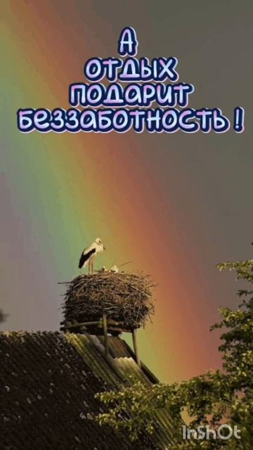 1000091800.mp4