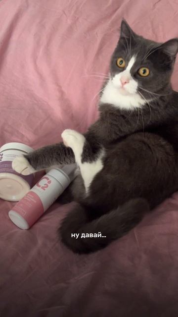 Ну вот тебе и поменялись..😂