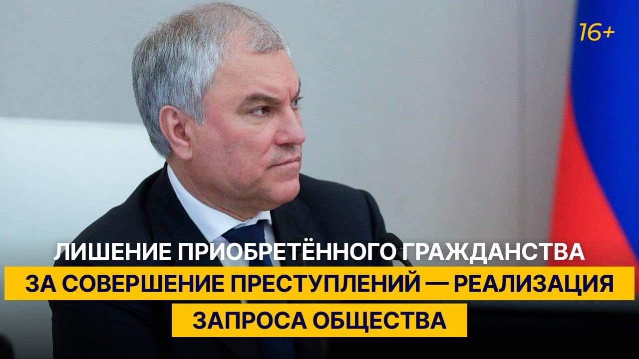 Володин: лишение гражданства РФ за преступления — ответ на запрос общества