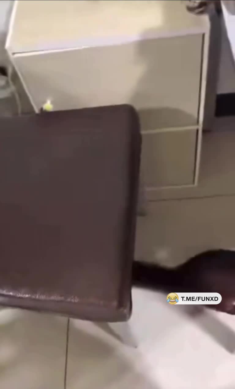 Оскара ему🤣