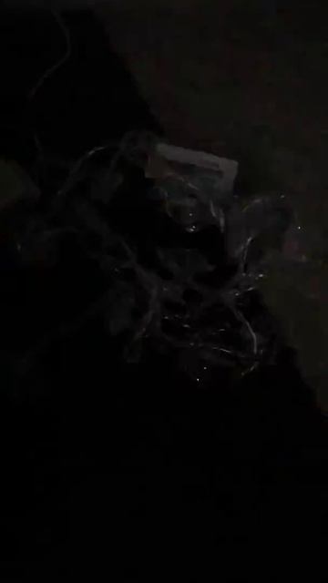 Гирлянда LED Нить Короны - ТМ ЭРА