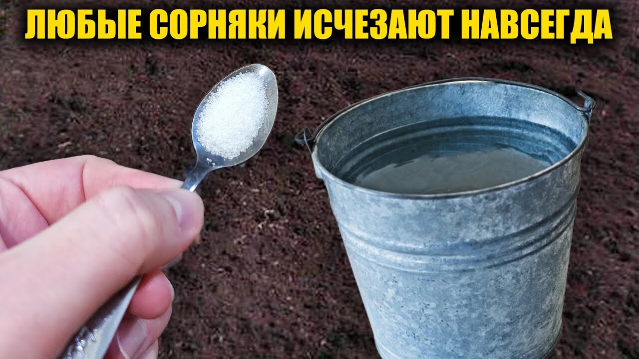 Все СОРНЯКИ исчезнут навсегда всего за 1 минуту! Легкий и безопасный метод без использования хими...