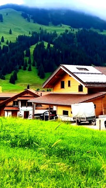 Камера не могла поверить своим «глазам»