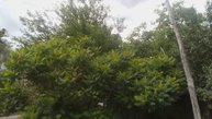 VID_20250625_104721