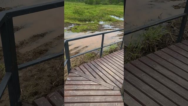 Велопрогулка по самому большому природному заказнику Санкт-Петербурга.