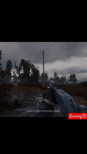 #motivation #сталкер #deyz #gaming #россия #callofduty #сталкер2 #edit #rdr2 #stalker