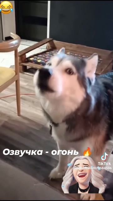 1000145921.mp4