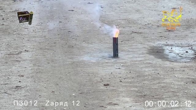 Заряд 12