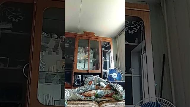 секс эротика 18 +