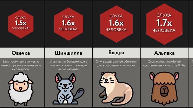 Цены Животных