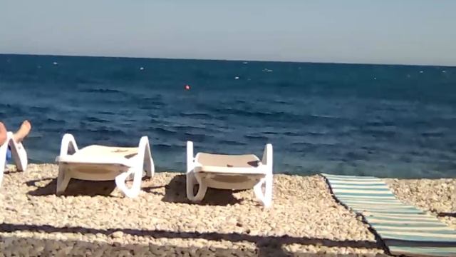 VID_20250619_162145.mp4