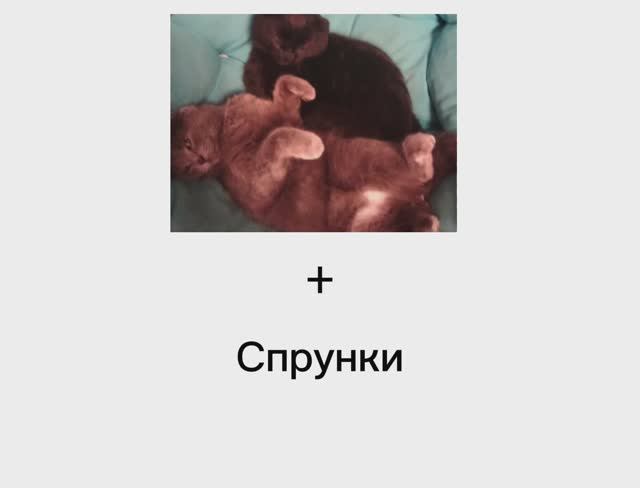 Тимошка и Шушик в виде спрунки!