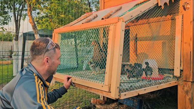 Печки-Лавочки. Найдешь сто работ, если живешь в своём доме. Деревенская жизнь в городской черте.