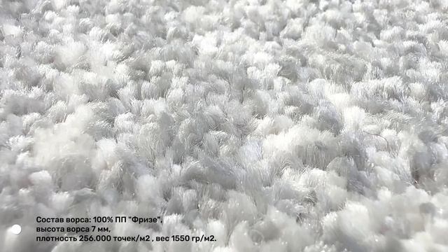 Фризе Сити 2025a5ct