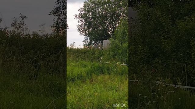 22.06.25 или тяжела и неказиста жизнь народного артиста
