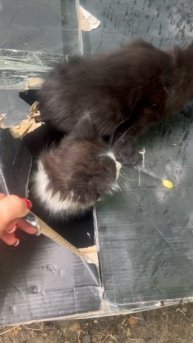 ⚠️ВОПИЮЩИЙ СЛУЧАЙ,НА КОТОРЫЙ СПОСОБНА ТОЛЬКО ПОСЛЕДНЯЯ