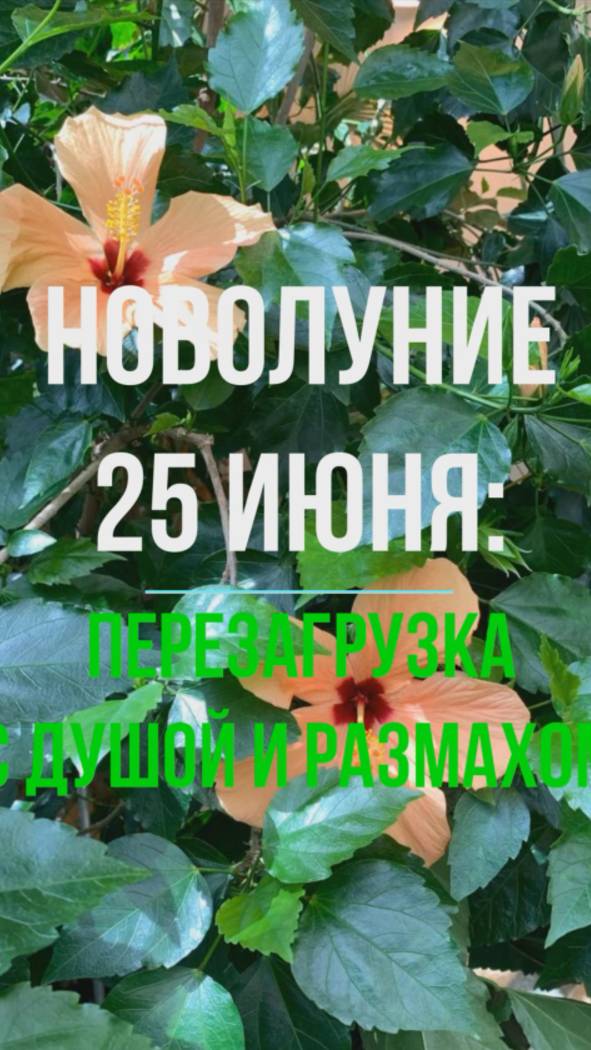 Новолуние 25 июня в РАКЕ ♋️