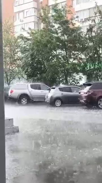 1000050825.mp4