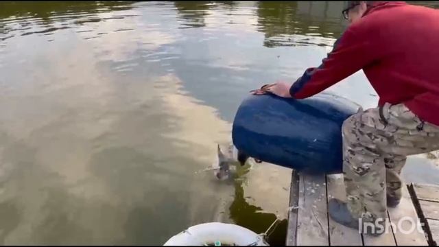 1000091123.mp4