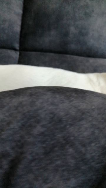 VID_20250625_114829.mp4