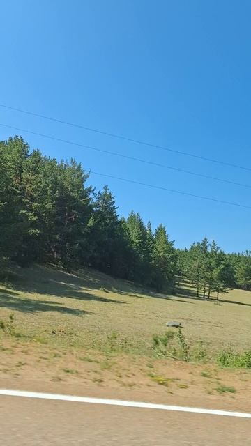 Кафе "Удачное"