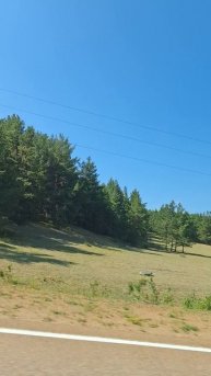 Кафе "Удачное"