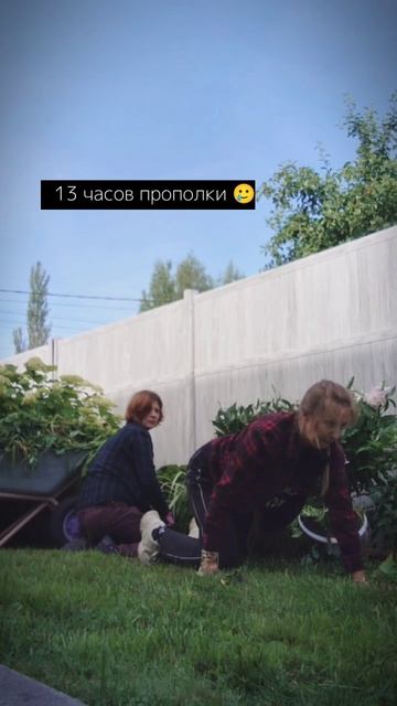 Прополка в радость. Ландшафтные работы